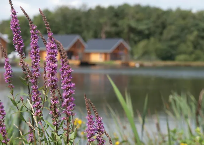 Lovely In With Wifi * Heel