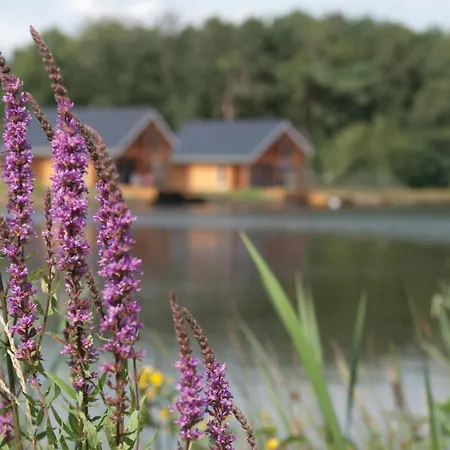 Lovely In With Wifi * Heel